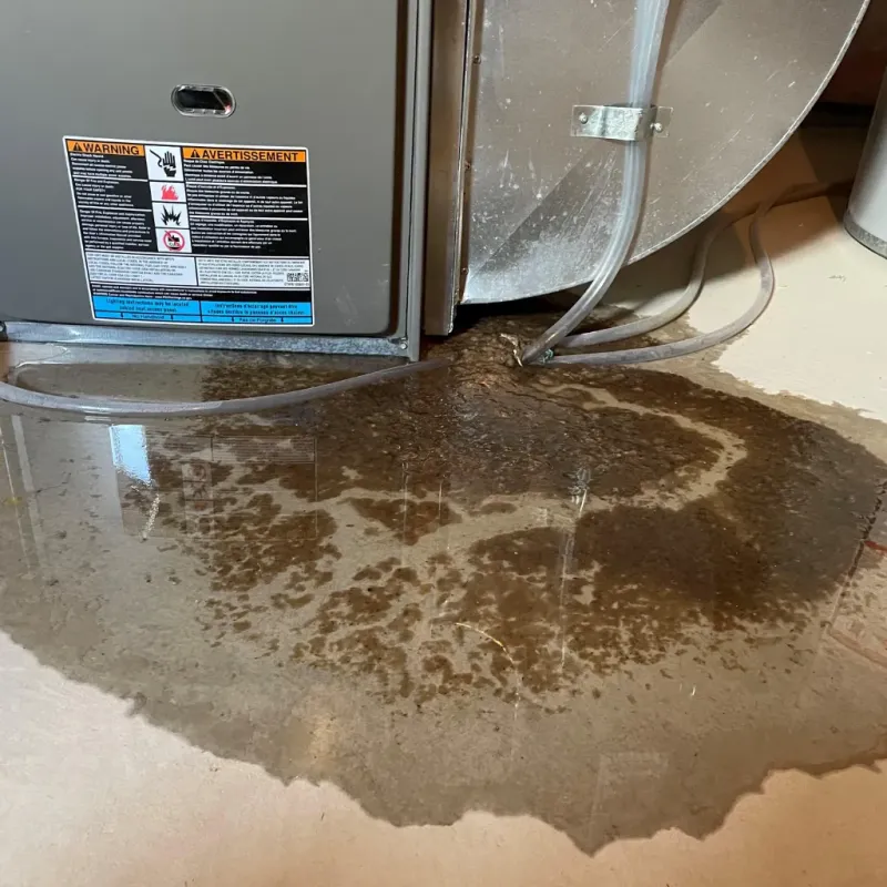 Appliance Leak Cleanup in Wells County, IN